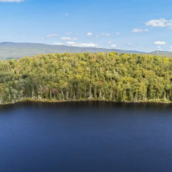 EXCEPTIONAL COUNTRY ESTATE OPPORTUNITY