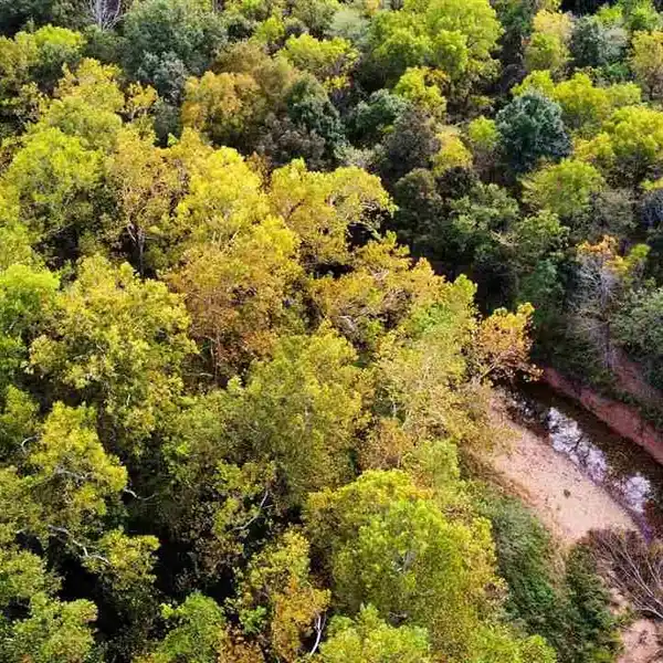 BUILD THE PERFECT COMPOUND ON ACRES OF LAND