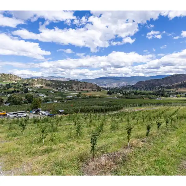 UNIQUE AND SIGNIFICANT PROPERTY - BUILD A HOME WITH A VIEW