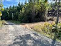 VERY PRIVATE WOODED LOT