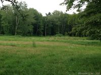 BEAUTIFUL VIRGIN LAND FOR DREAM HOME IN NEW CANAAN