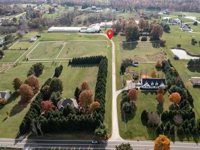 Large Image