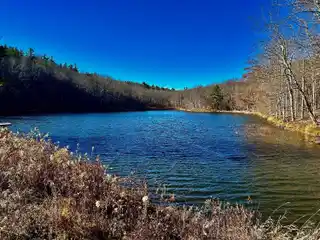 517 Acres for Active Country Living