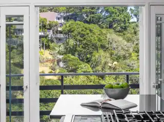 Quintessential Mill Valley Retreat
