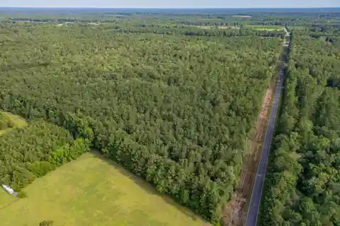 Prime Estate Land on over Forty Acres