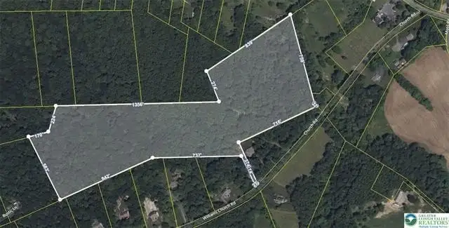 Large Image