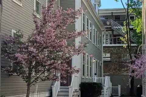 Charming Townhouse in Brookline Village