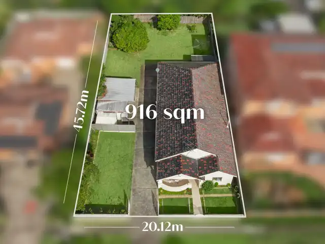 Large Image
