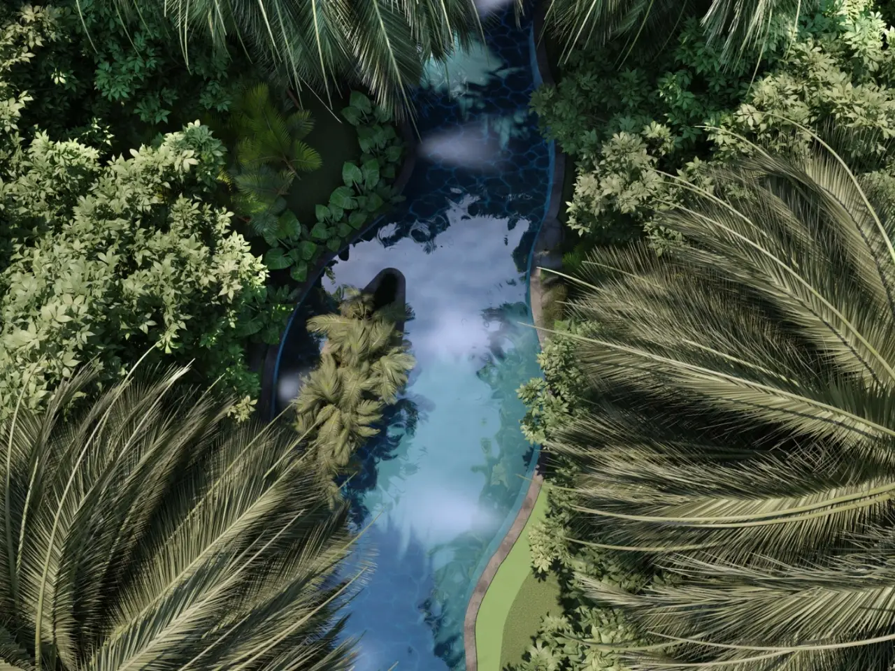 Large Image