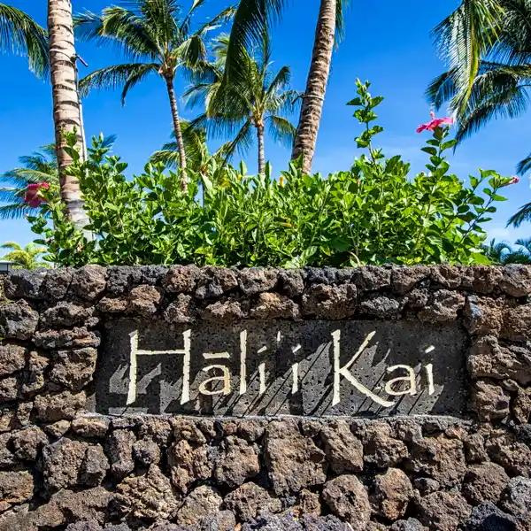 PRIME HALI’I KAI CONDO