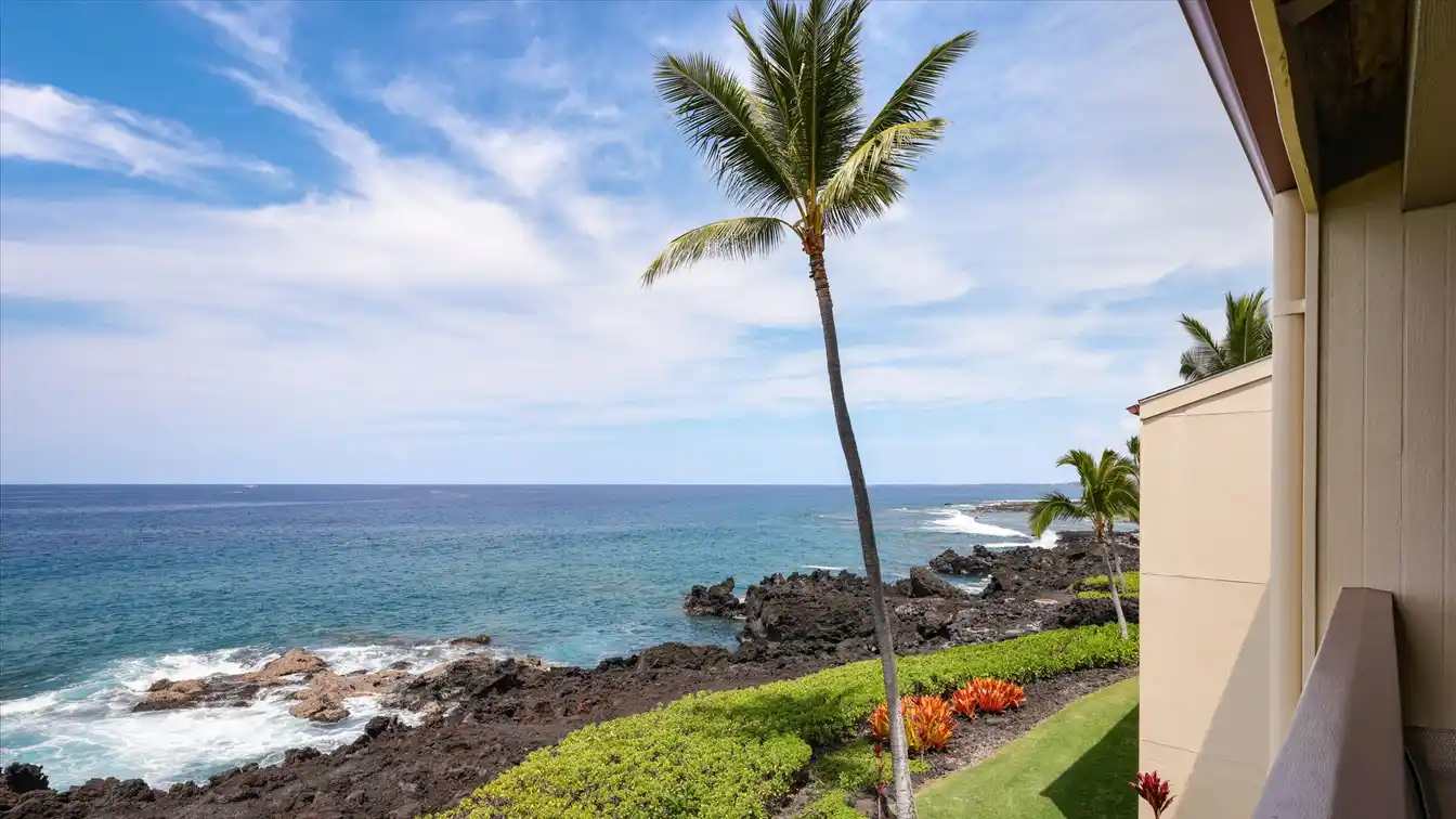 Oceanfront Treasure