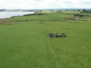 Exceptional Lakefront Property