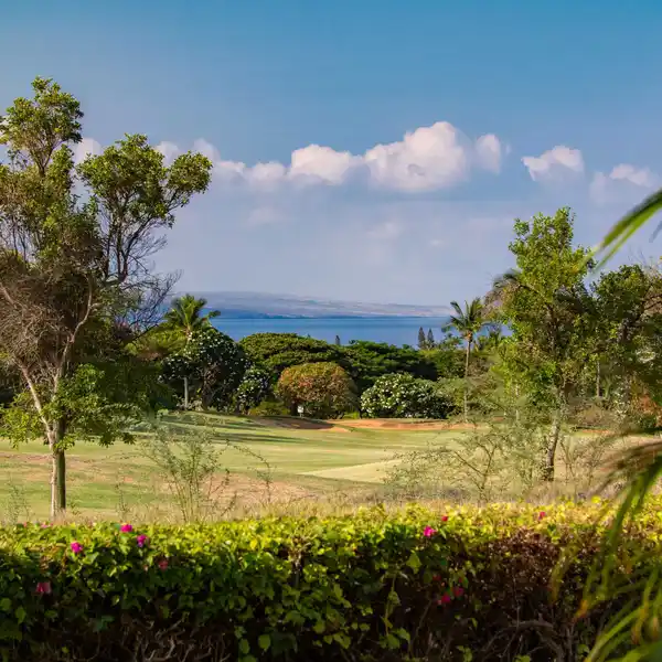 BEAUTIFULLY UPDATED HOKULANI GOLF VILLAS RESIDENCE