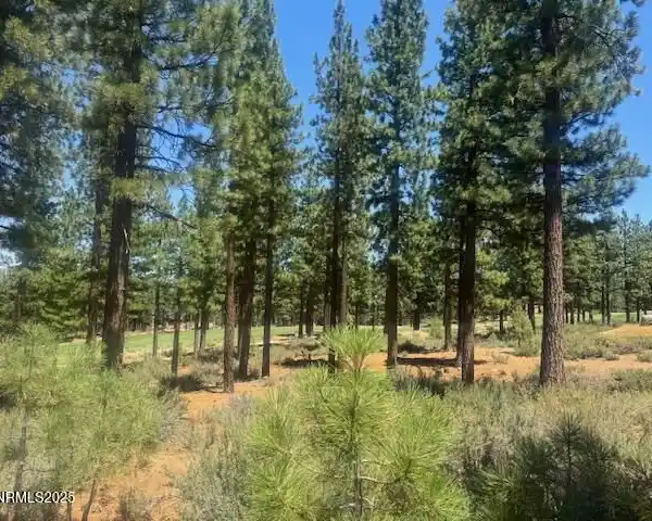 BEAUTIFUL SETTING ON THE FAIRWAY AT CLEAR CREEK TAHOE