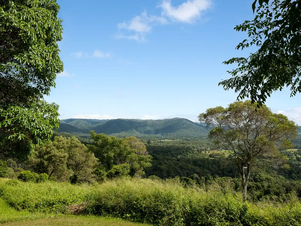 Large Image