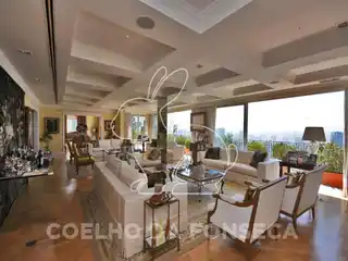 Splendid Triplex Penthouse