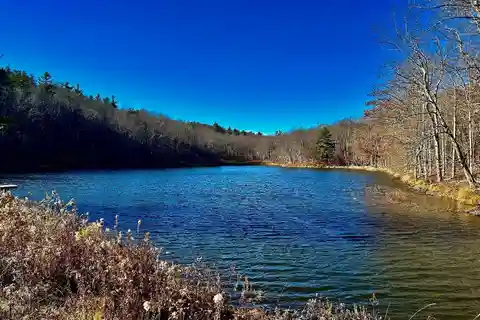 517 Acres for Active Country Living