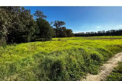 Stunning 12-Hectare Farm