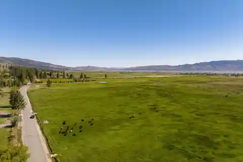 Over 35 Versatile Acres in Scenic Washoe Valley