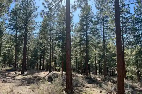 Perfect Near-Acre Property