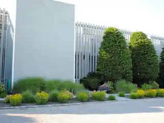 Sun-filled One Bedroom Condo for Rent