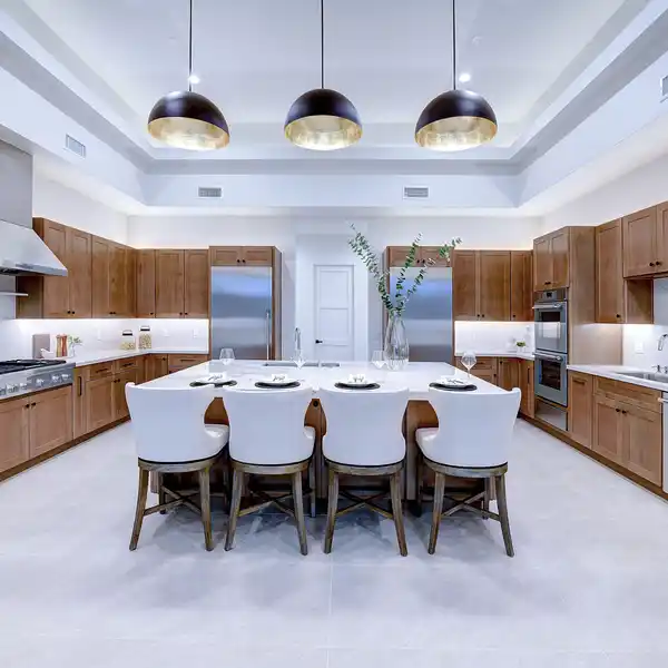 BRAND NEW LUXURY CONTEMPORARY HOME IN ALTA VISTA SONRISA