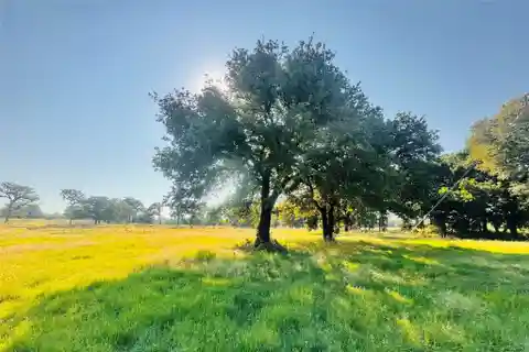 15 Acres of Tranquility