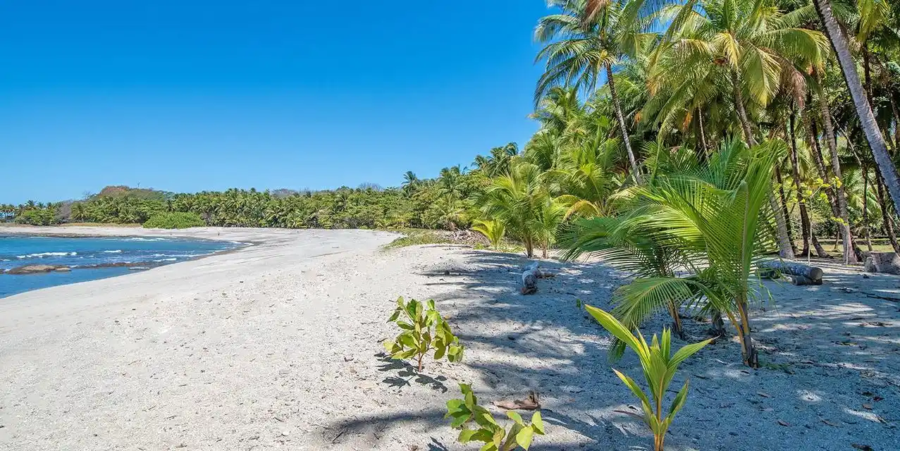 Malpaís Beachfront Lot with Private Bay
