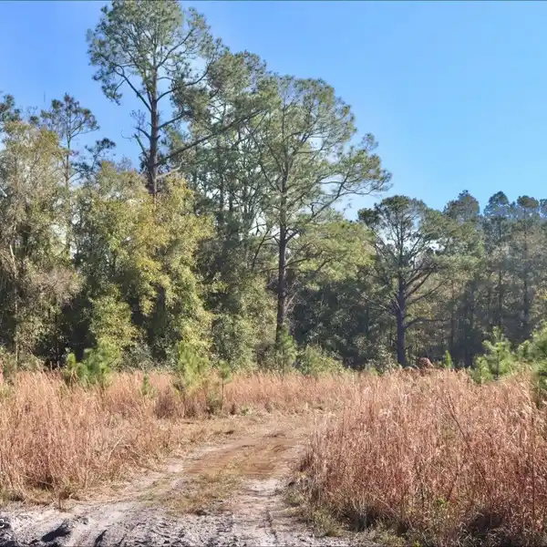 42 PRIME ACRES