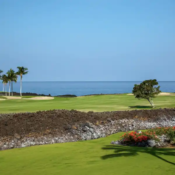 AMAZING HALI’I KAI CONDO