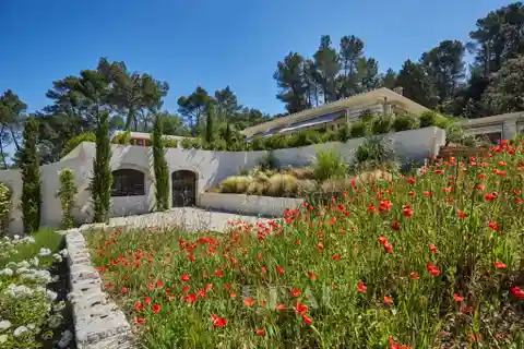Luxury and Serenity
