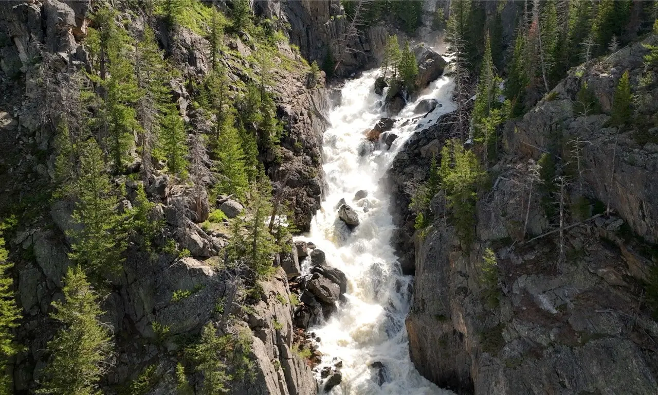 Large Image