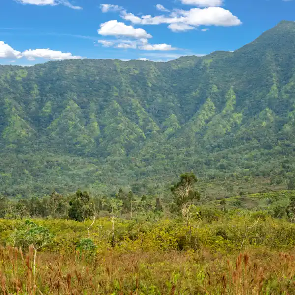 ONCE-IN-A-LIFETIME OPPORTUNITY OF 64 ACRES