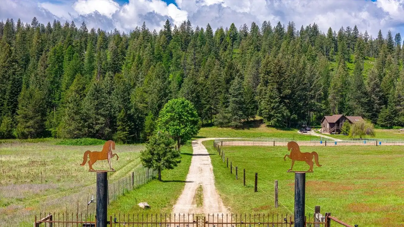 Special Equine Facility and Lovely Home