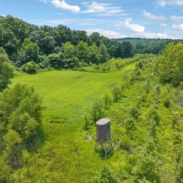 PREMIER WHITETAIL PROPERTY WITH CABIN LODGING