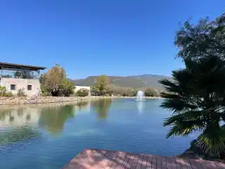 Lote Cabernet