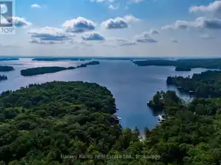 82 Acre Lakefront Property with Endless Possibilities
