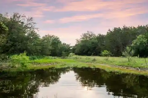 50 Acres at Muleshoe Bend