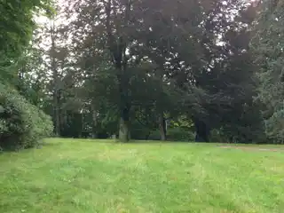 Beautiful Level Property