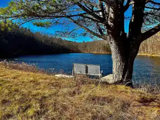 242 Acres Ready for Country Living