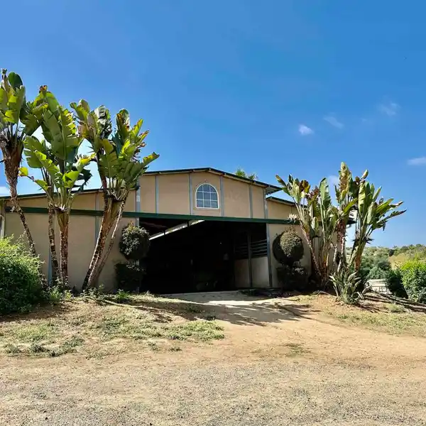 VIBRANT EQUESTRIAN OASIS