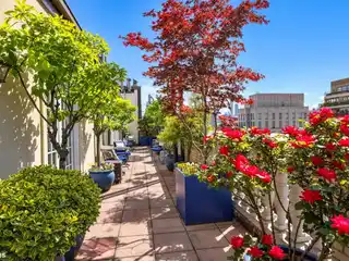 Park Avenue Penthouse Rarity