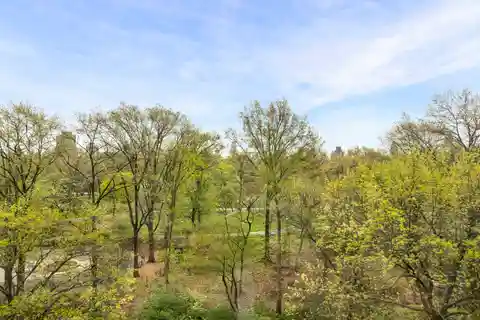 Aristocratic Pre-war Eight-room Home with Park Views