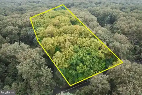 Create a Dream Retreat Surrounded by Nature's Beauty