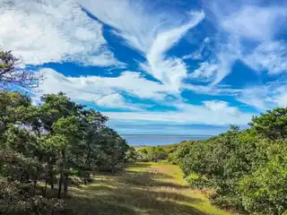 Beautiful Five-Acre Parcel