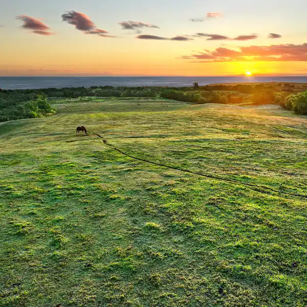 EXCEPTIONAL 31.96-ACRE ESTATE PARCEL