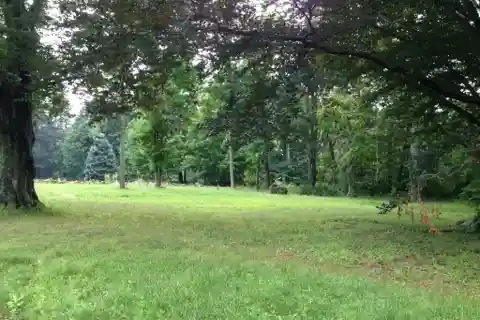 Property Ready to Build