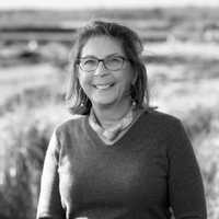 Helen M V Smith