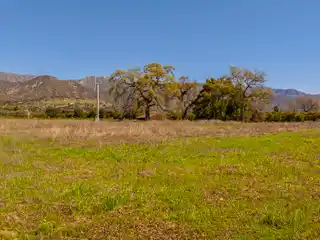 Unmatched Privacy on 12 Acres with Panoramic Views