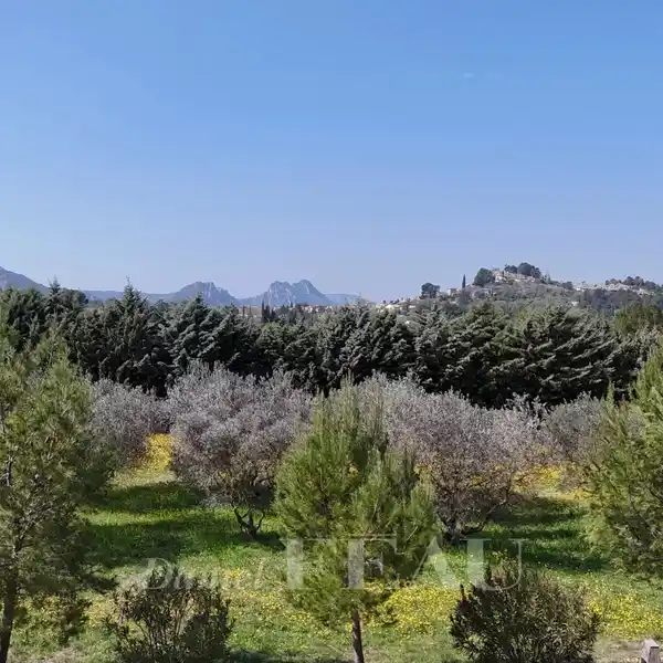 SPECTACULAR OPPORTUNITY TO RENOVATE